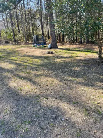 $159,000 | Tbd Lomax Court, Murrells Inlet, SC 29576