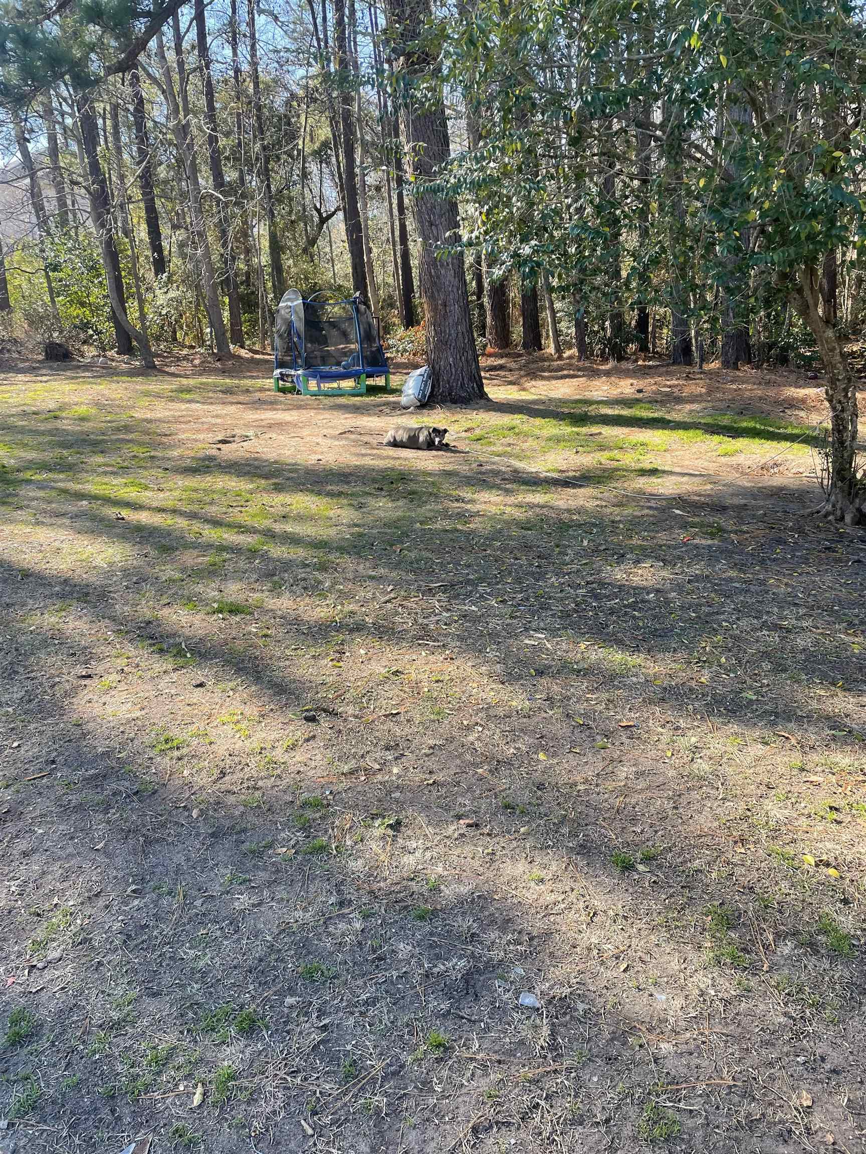 Tbd Lomax Court Murrells Inlet, SC 29576 - Photo 1 of 5