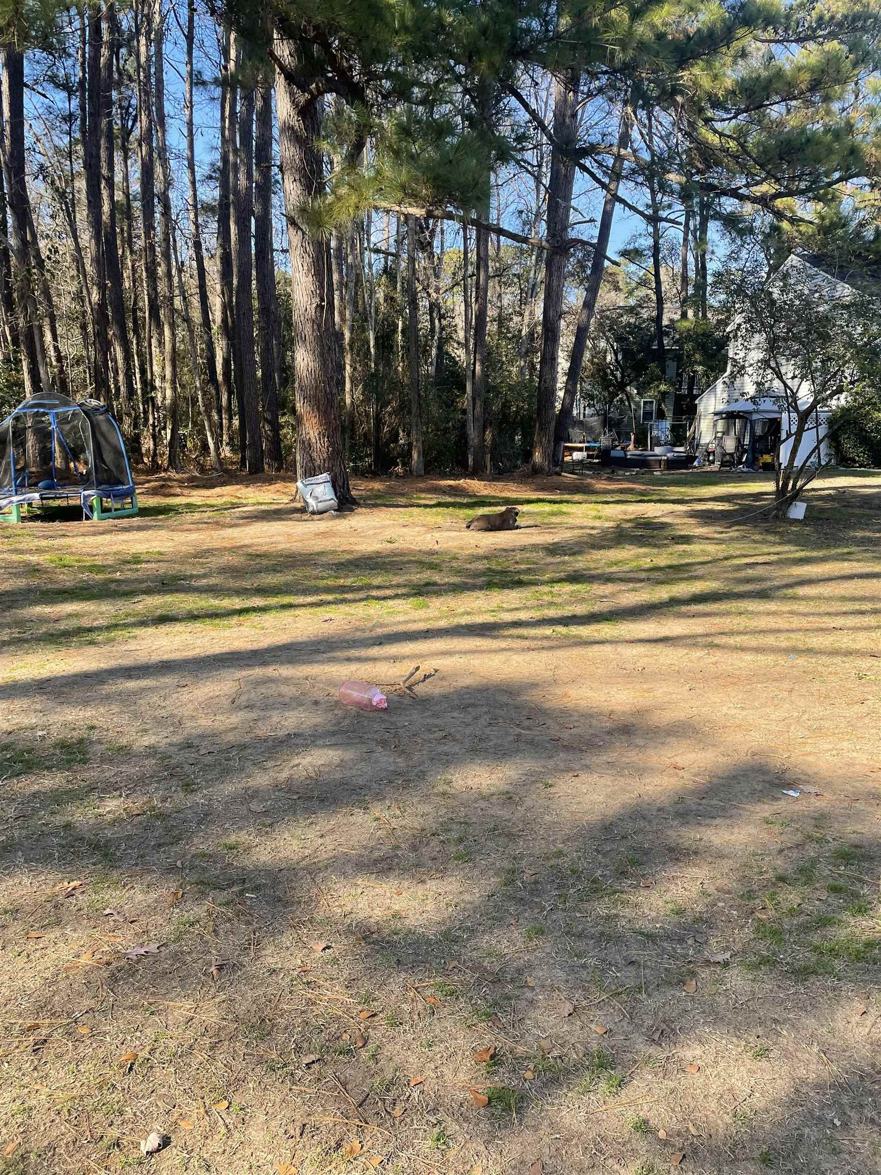 Tbd Lomax Court Murrells Inlet, SC 29576 - Photo 4 of 5