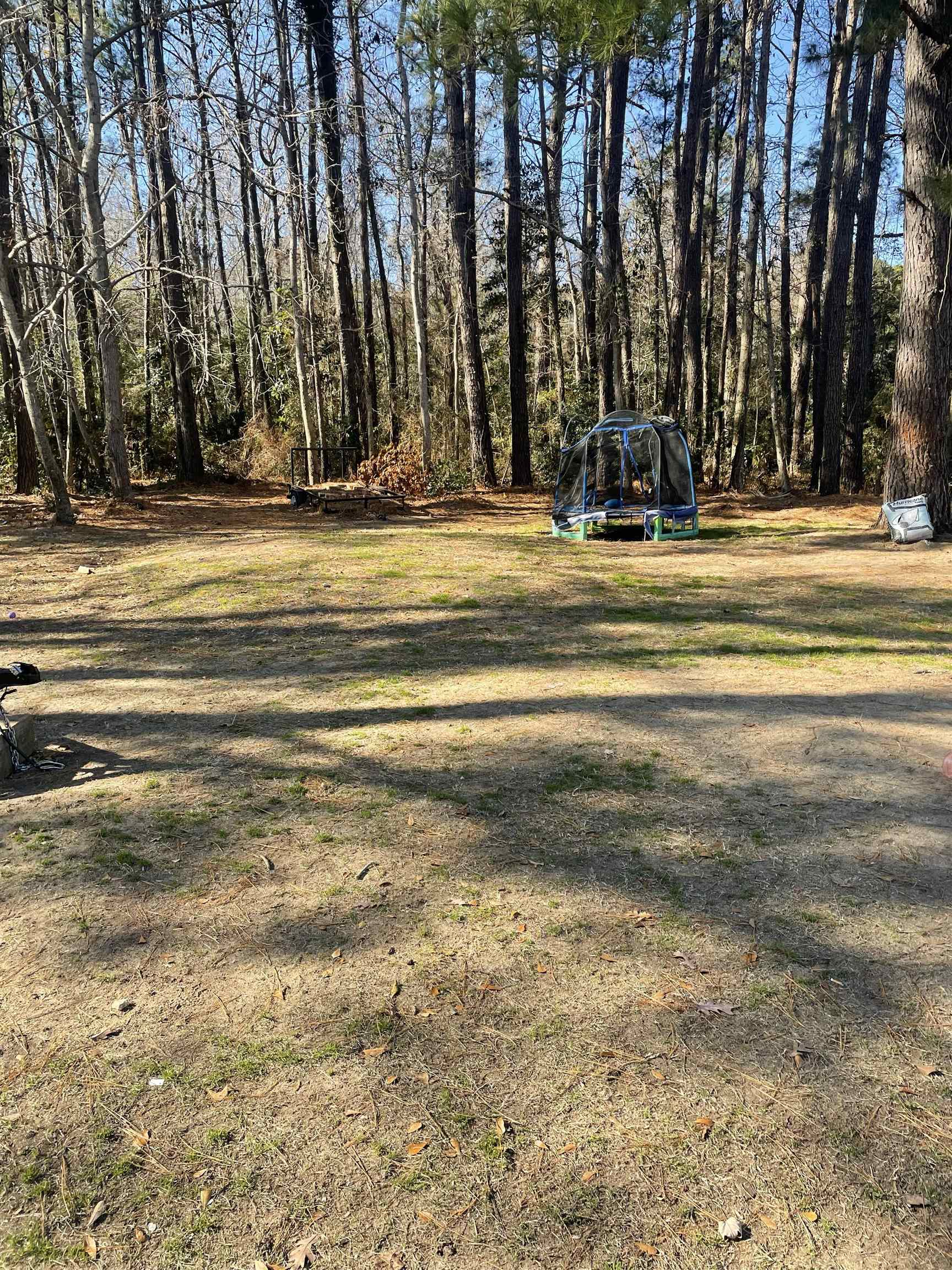 Tbd Lomax Court Murrells Inlet, SC 29576 - Photo 5 of 5