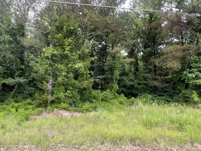 Burnett Mills Road Bolivar, TN 38008 - Photo 1 of 6
