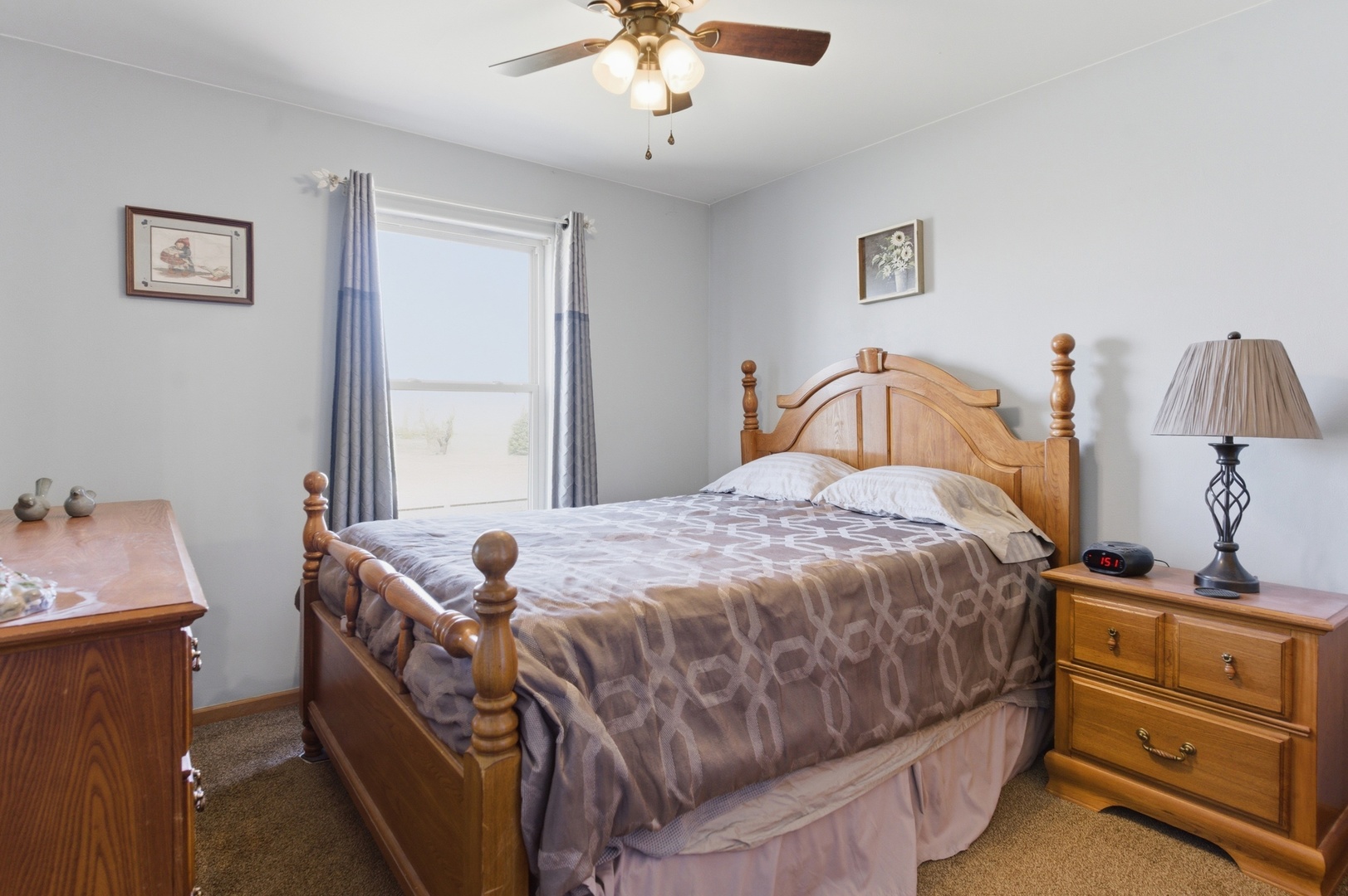 5411 Meadowbrook Street Plainfield, IL 60586 - Photo 11 of 27