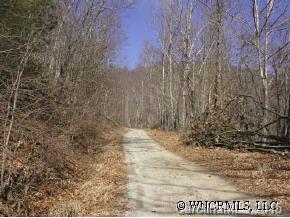 a view of a dry yard with trees