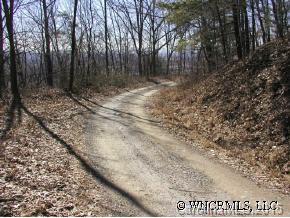 1553 Off Hoopers Creek Road Fletcher, NC 28732 - Photo 2 of 12 a view of outdoor space with trees