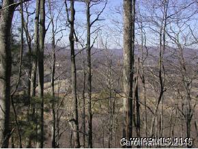 1553 Off Hoopers Creek Road Fletcher, NC 28732 - Photo 11 of 12 a view of a yard