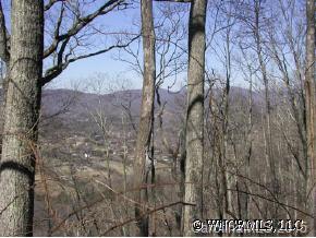 1553 Off Hoopers Creek Road Fletcher, NC 28732 - Photo 12 of 12 a view of a yard