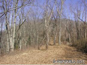 1553 Off Hoopers Creek Road Fletcher, NC 28732 - Photo 3 of 12 a view of a dry yard