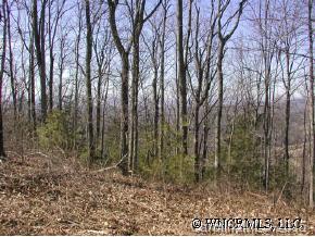 1553 Off Hoopers Creek Road Fletcher, NC 28732 - Photo 4 of 12 a view of a forest