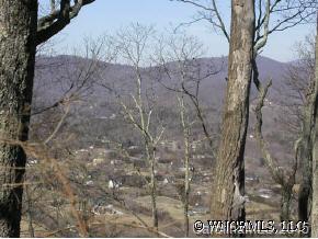 1553 Off Hoopers Creek Road Fletcher, NC 28732 - Photo 5 of 12 a picture of tree