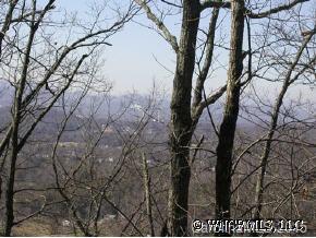 1553 Off Hoopers Creek Road Fletcher, NC 28732 - Photo 6 of 12