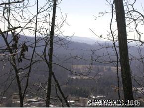 1553 Off Hoopers Creek Road Fletcher, NC 28732 - Photo 8 of 12