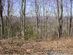 1553 Off Hoopers Creek Road Fletcher, NC 28732 - Photo 10 of 12 a view of a yard