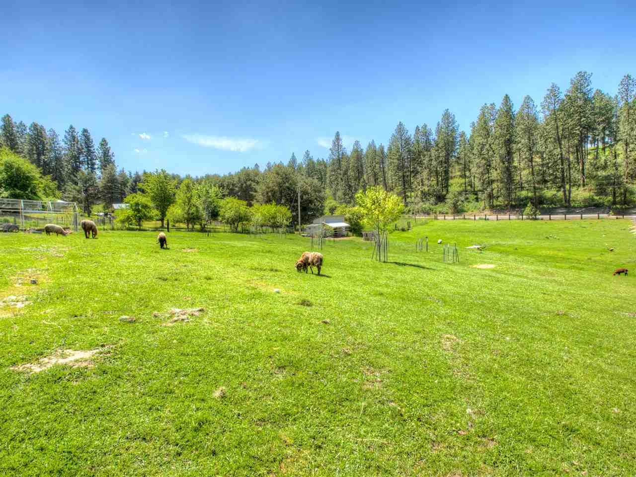 4017 South Linke Road Greenacres, WA 99016 - Photo 17 of 20