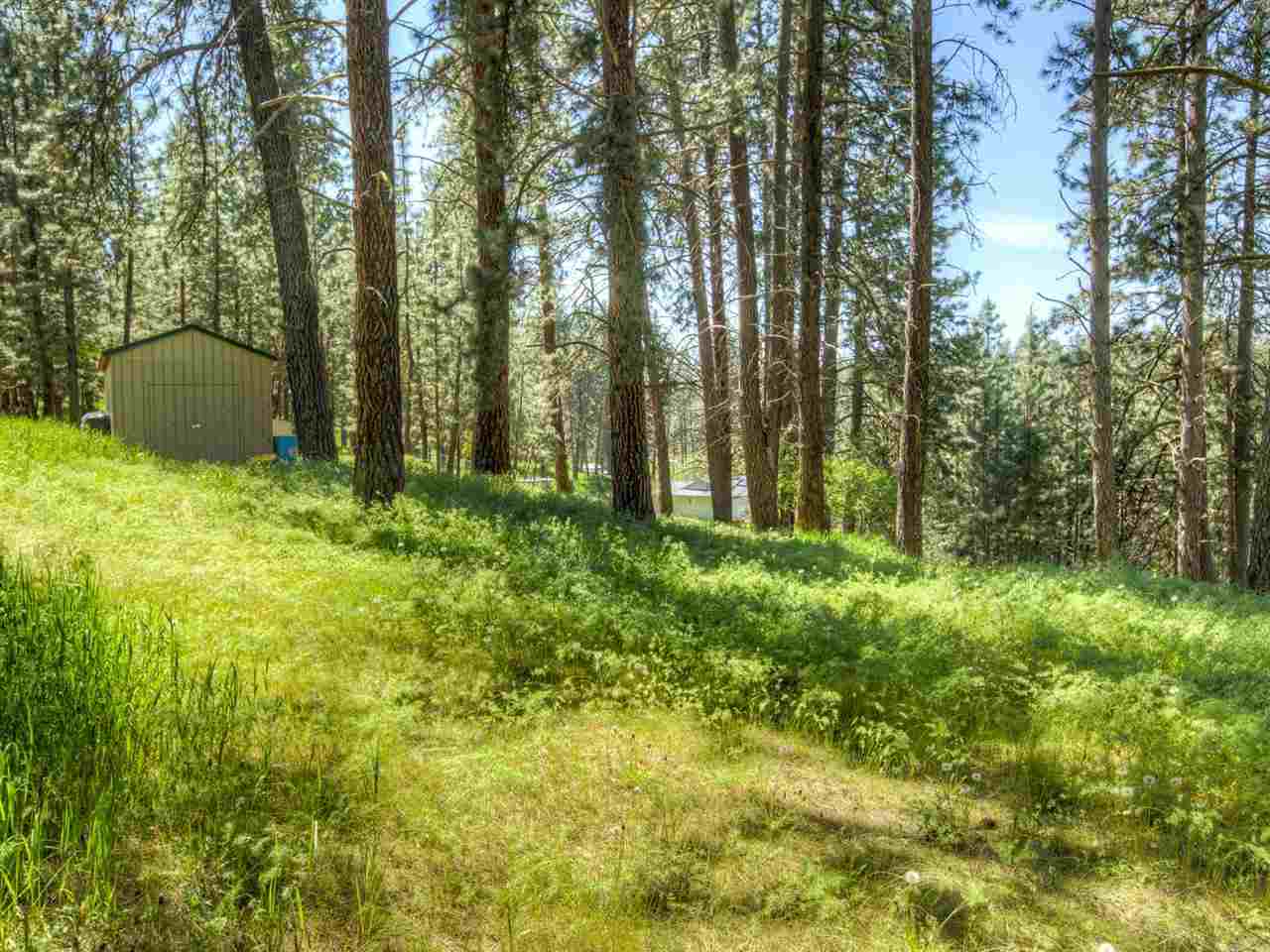 4017 South Linke Road Greenacres, WA 99016 - Photo 20 of 20