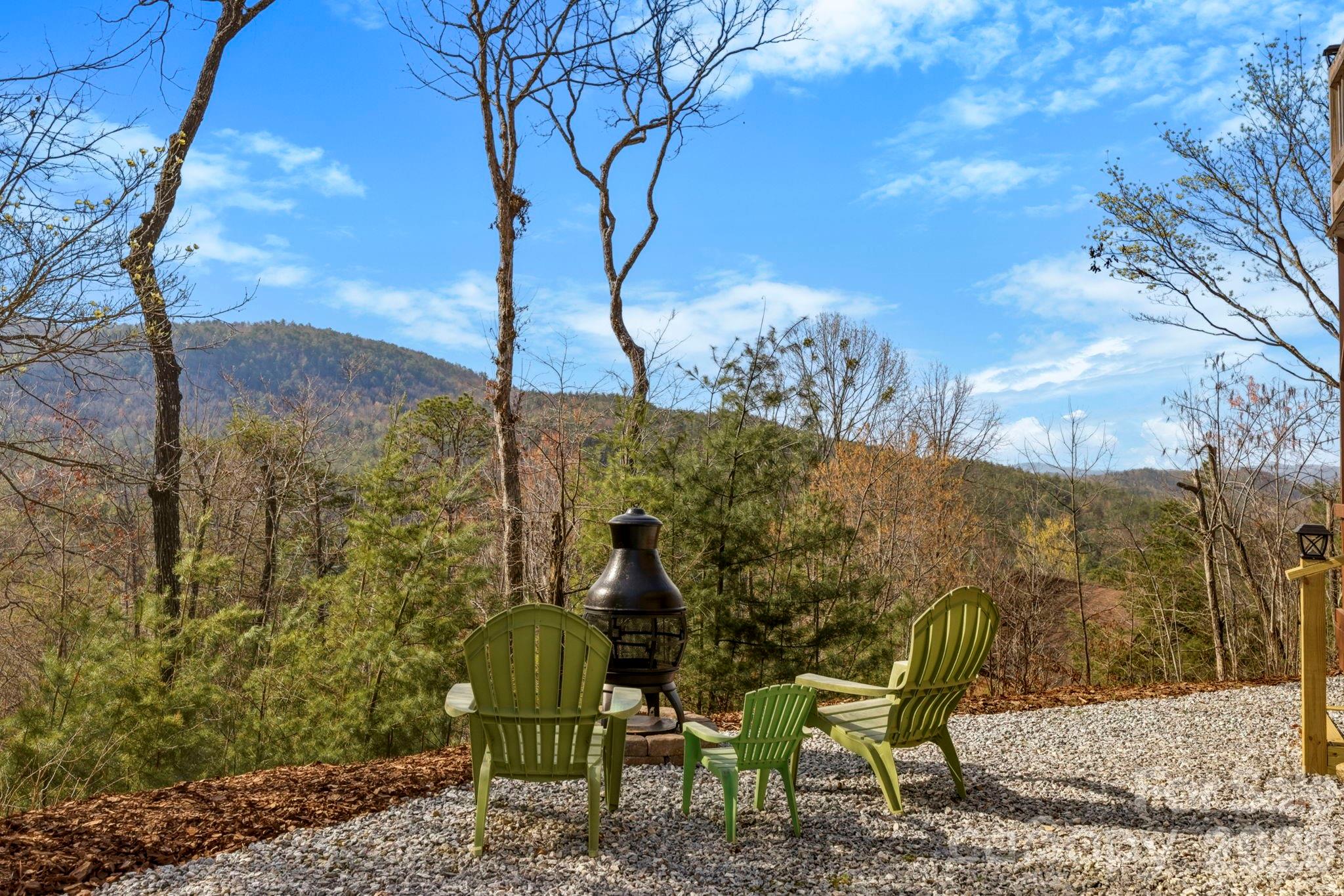 1489 Round Mountain Road Brevard, NC 28712 - Photo 3 of 48