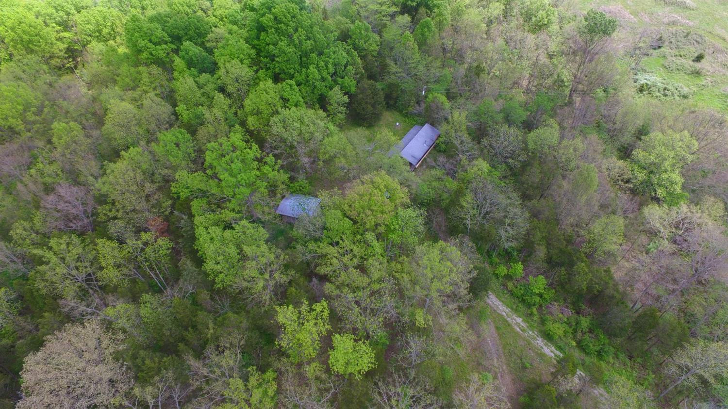 2601 Cedar Road Stamping Ground, KY 40379 - Photo 11 of 22 Photo 11