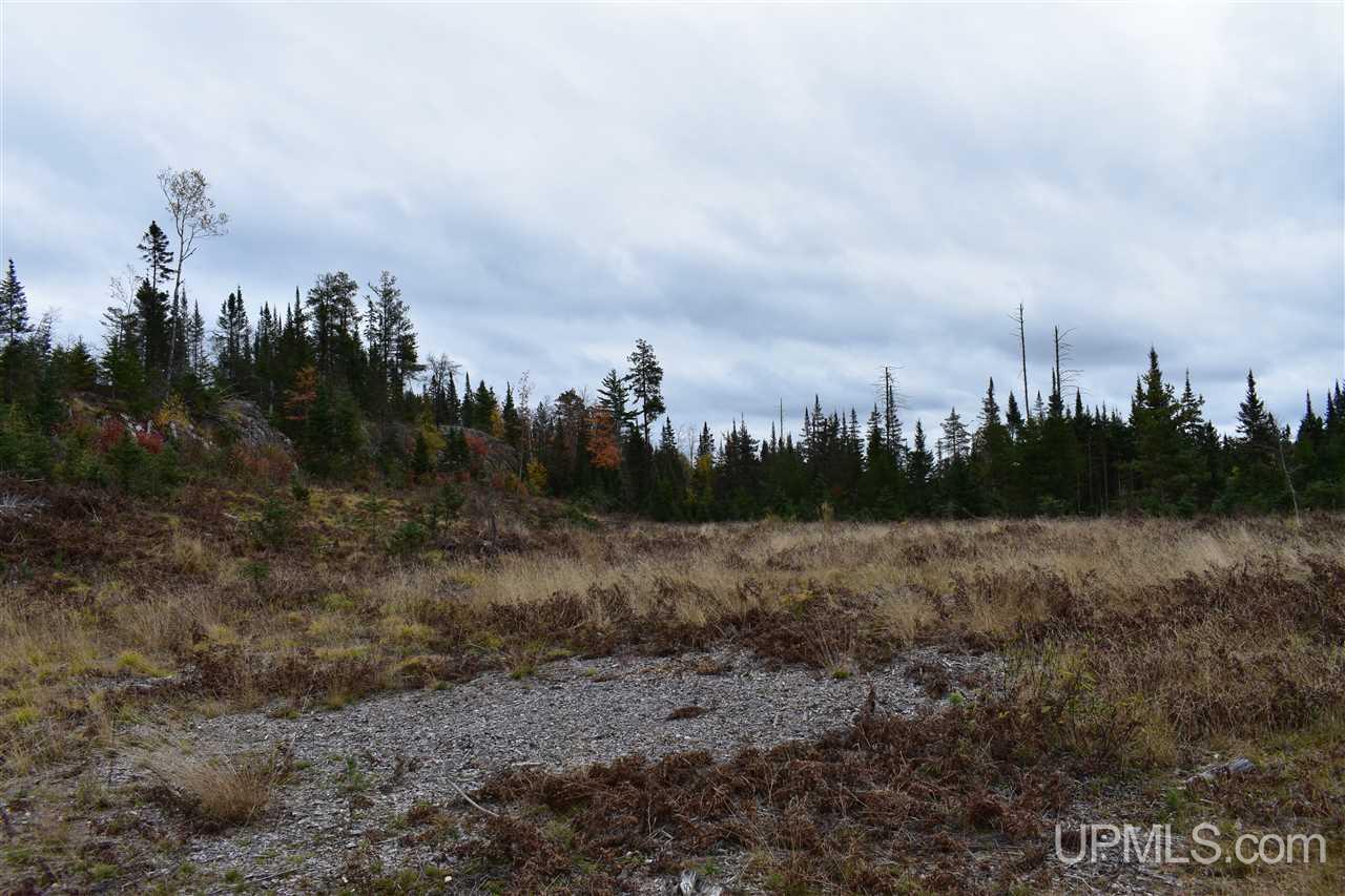 40-acres 40-acres Off Co Road Gwinn, MI 49841 - Photo 8 of 22
