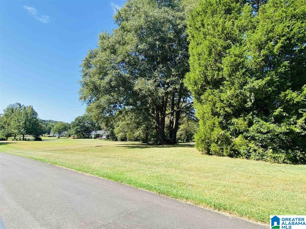 Carleton Point Lane, Unit 3 Wilsonville, AL 35186 - Photo 5 of 10