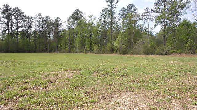 0 Fairford Road Calvert, AL 36513 - Photo 4 of 13