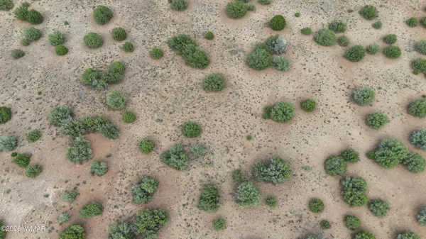 $35,000 | Tbd Apache Road, Snowflake, AZ 85937