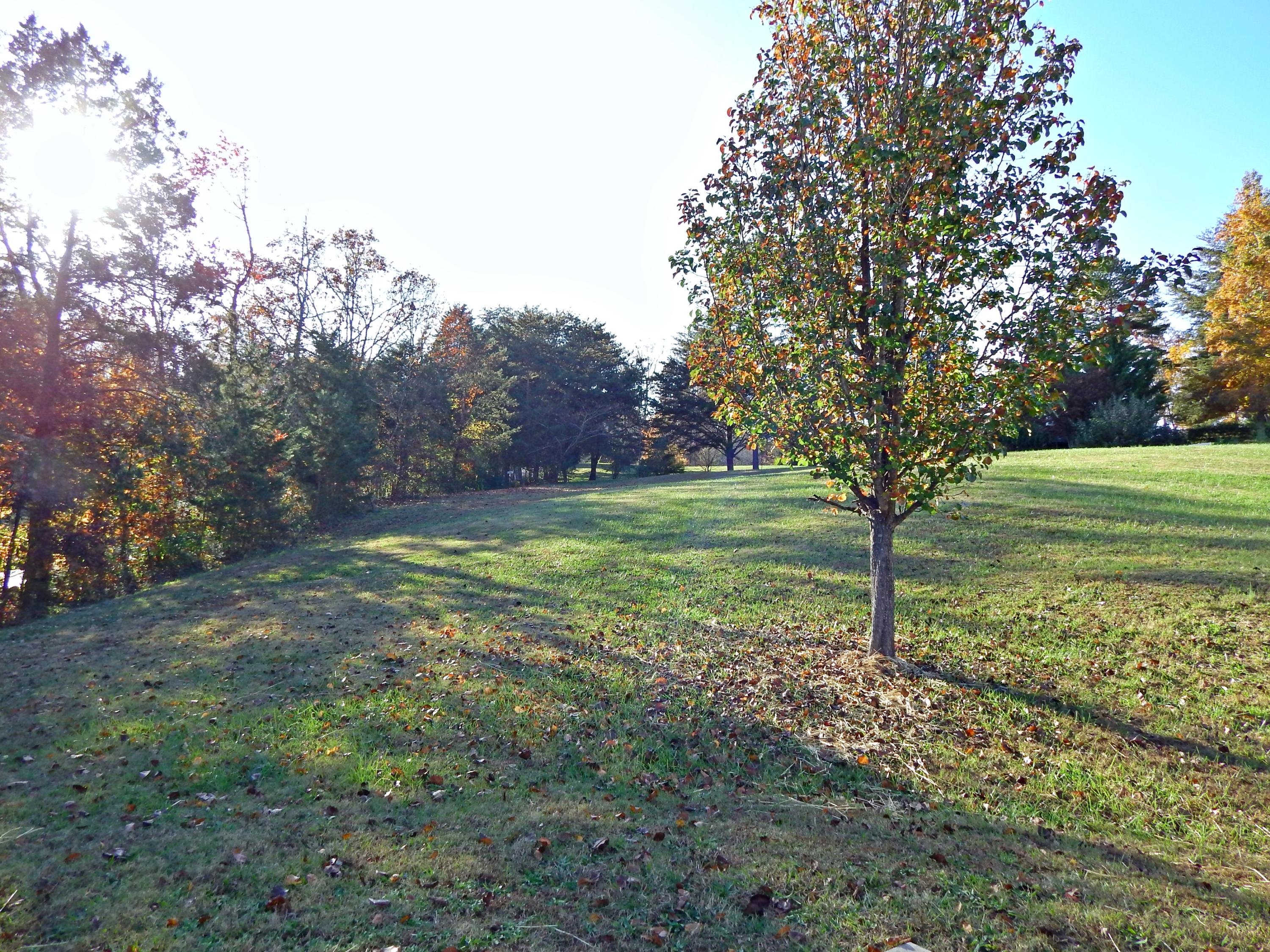 6334 Hugh Willis Road Powell, TN 37849 - Photo 16 of 17 3