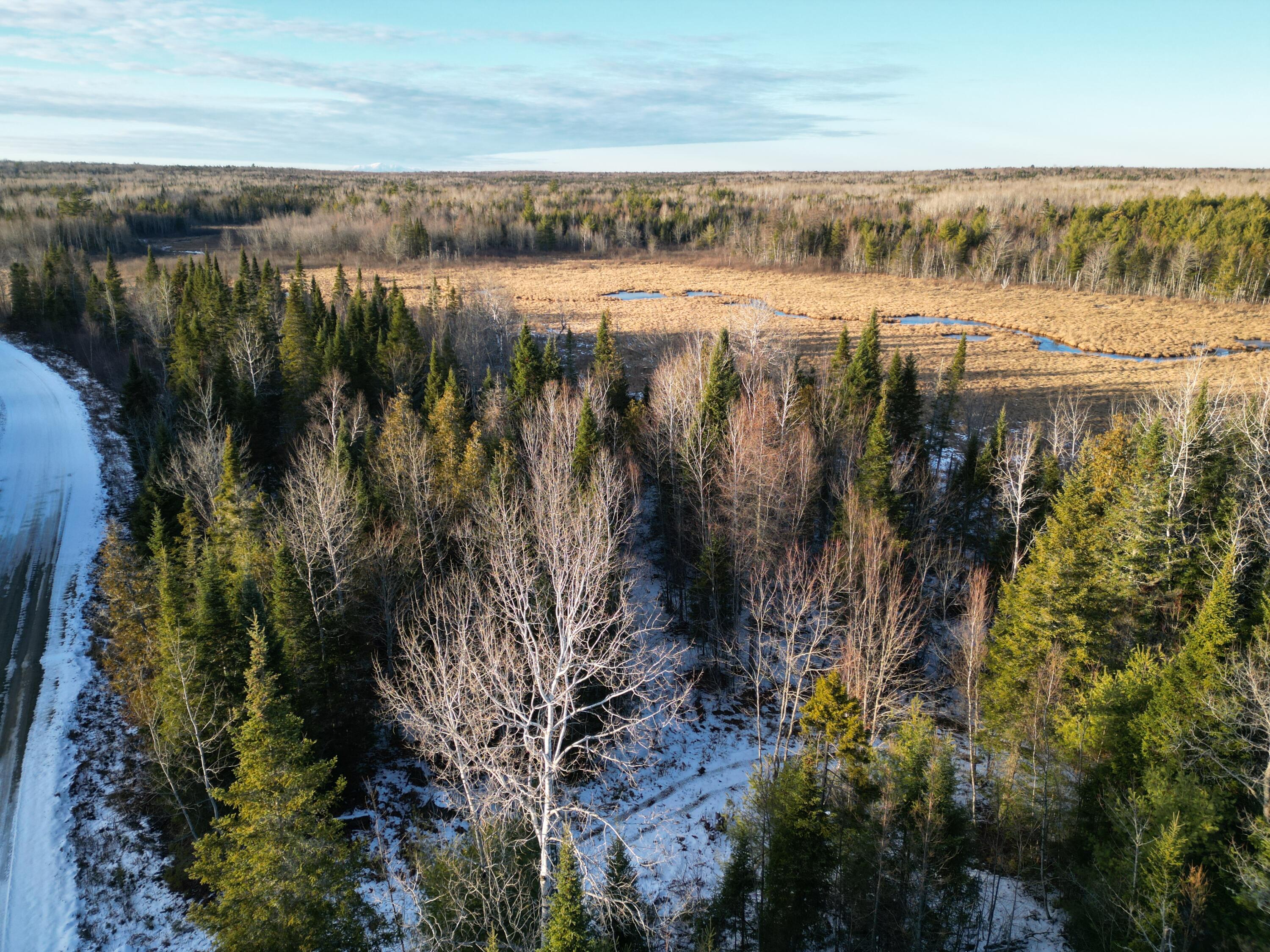 Lot 4-1 Butterfield Ridge Road Lincoln, ME 04457 - Photo 5 of 15 DJI_0020
