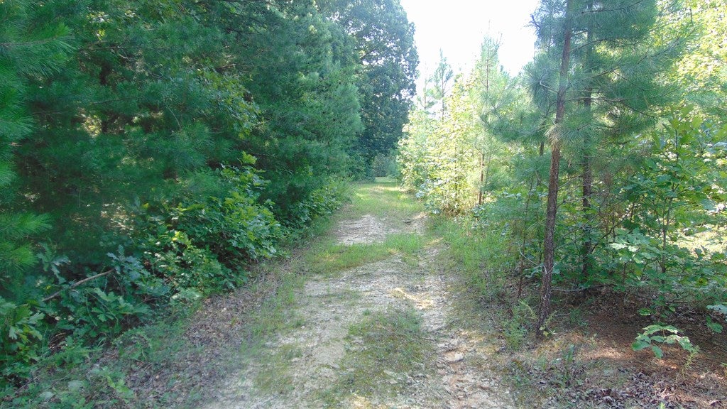 650 Mulberry Road Nathalie, VA 24577 - Photo 18 of 23 Gallery Image 18