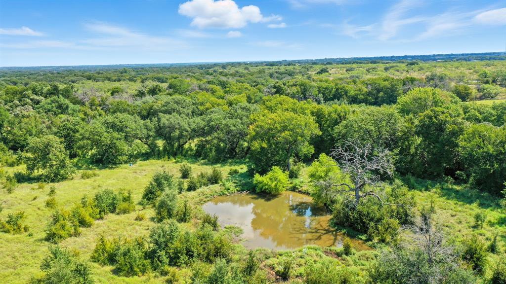 Tbd Dyer Road Lipan, TX 76462 - Photo 19 of 20 a view of a garden with a lake