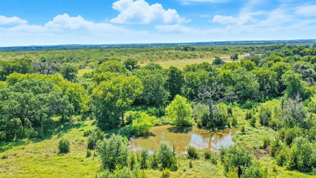 Tbd Dyer Road Lipan, TX 76462 - Photo 20 of 20 a view of a lake