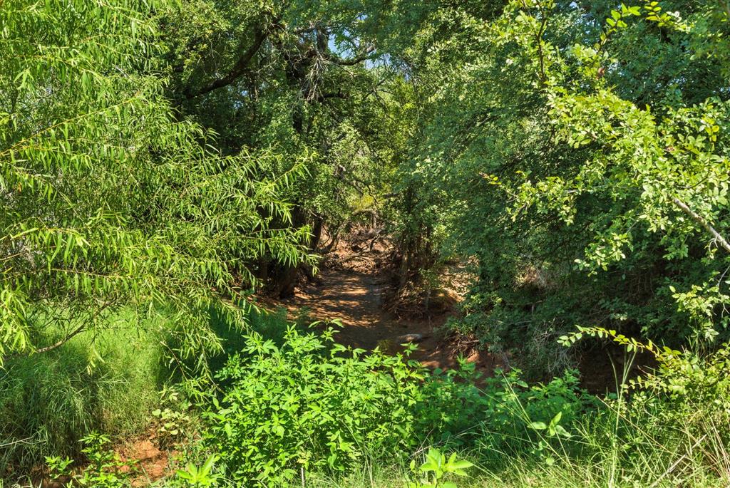 Tbd Dyer Road Lipan, TX 76462 - Photo 10 of 20 a backyard of a house with lots of plants