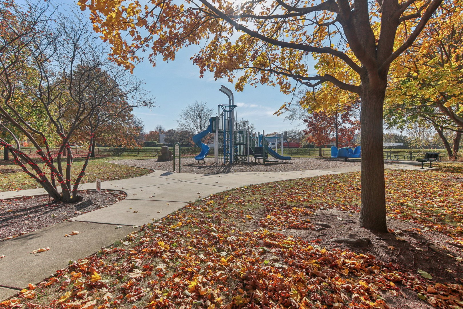1907 Apple Valley Road Bolingbrook, IL 60490 - Photo 4 of 4 a view of road with trees