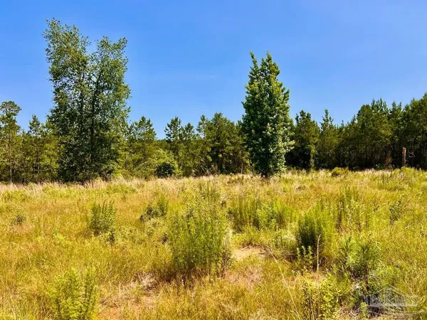 $295,900 | 2035 Glacier Drive, Pace, FL 32571