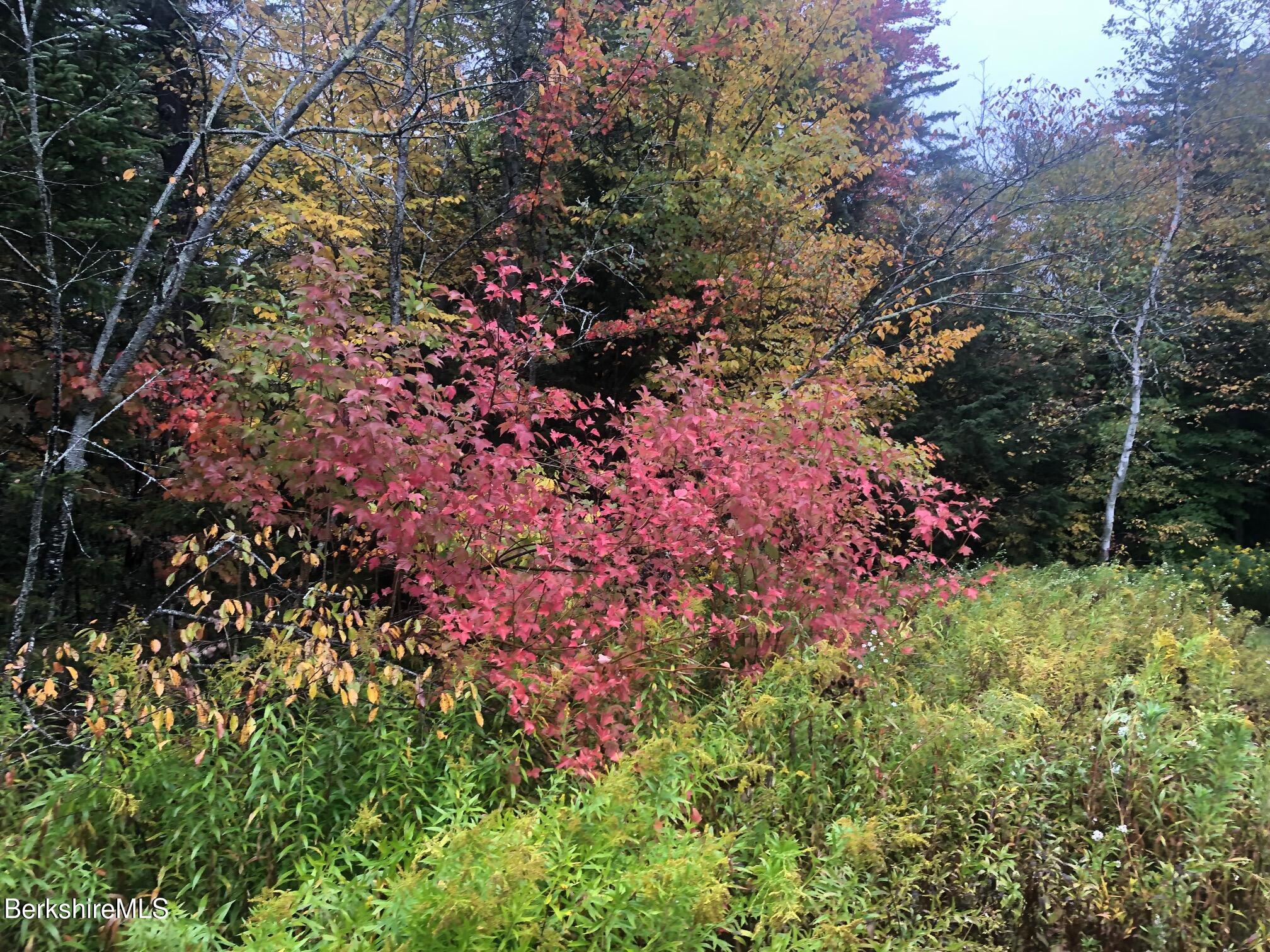 30 Jackson Road Savoy, MA 01256 - Photo 42 of 42 Seasonal Photo
