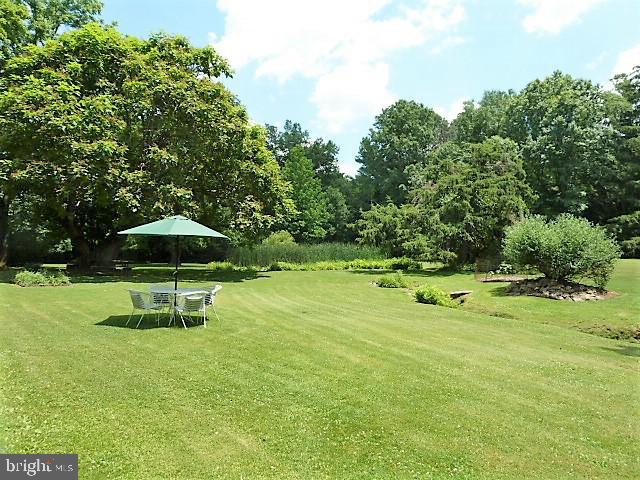 365 Iron Hill Road Doylestown, PA 18901 - Photo 3 of 70 Yard View