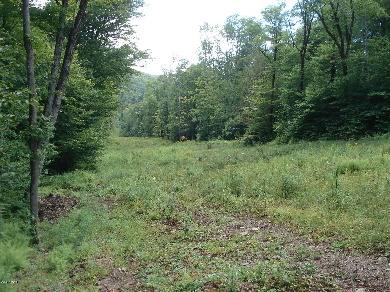 French Woods Road Hancock, NY 13783 - Photo 5 of 12