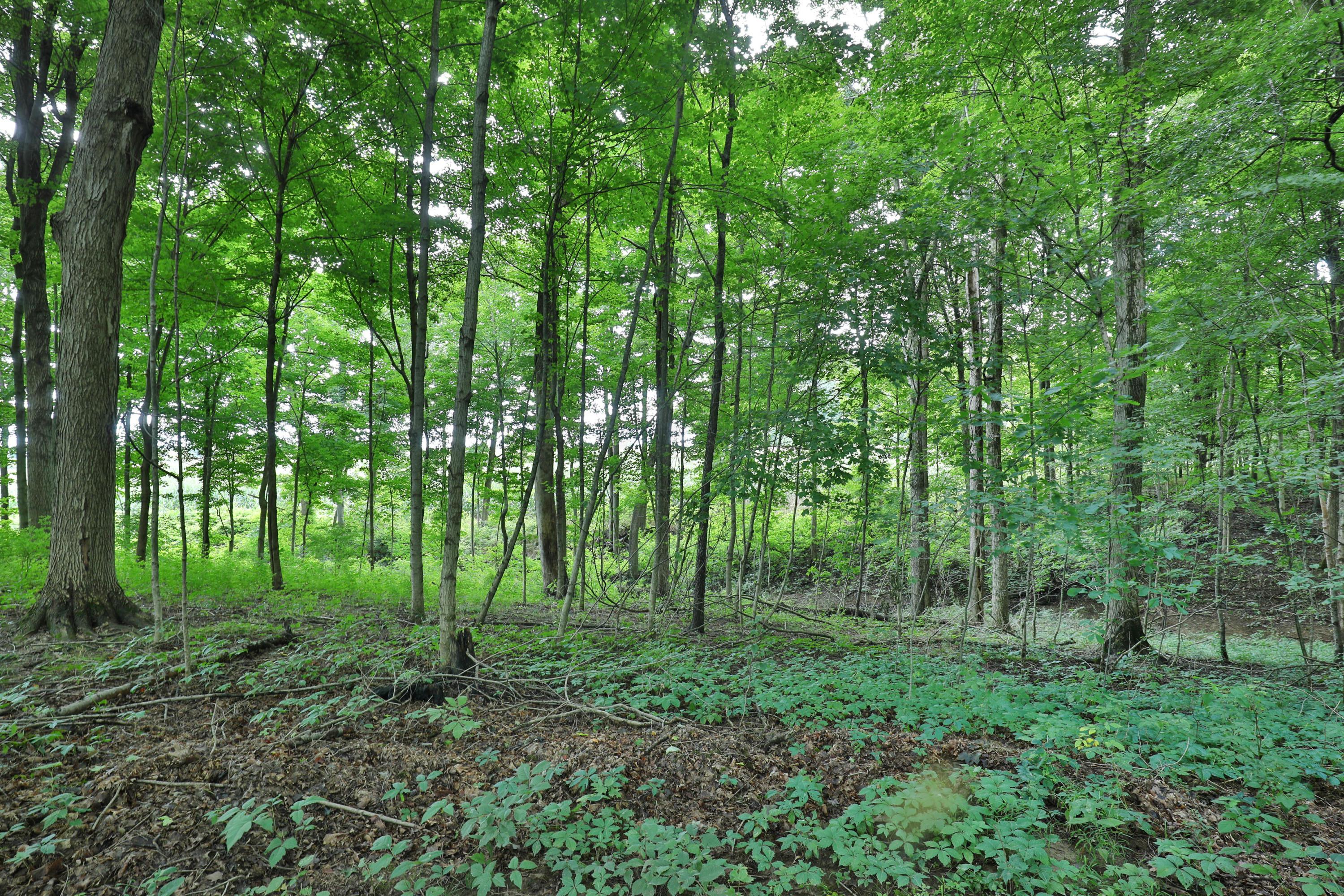20892 Hellwig Road Utica, OH 43080 - Photo 39 of 39 Gallery Image 39