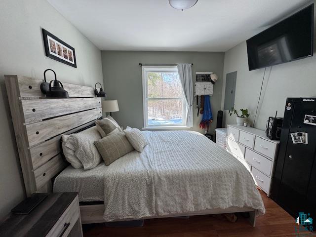 15081 Old Hart Lake Road Goodland, MN 55742 - Photo 9 of 18 Bedroom featuring dark wood-style flooring