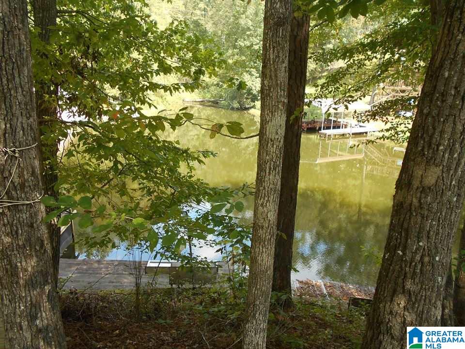 485 Baggett Camp Road Quinton, AL 35130 - Photo 2 of 5