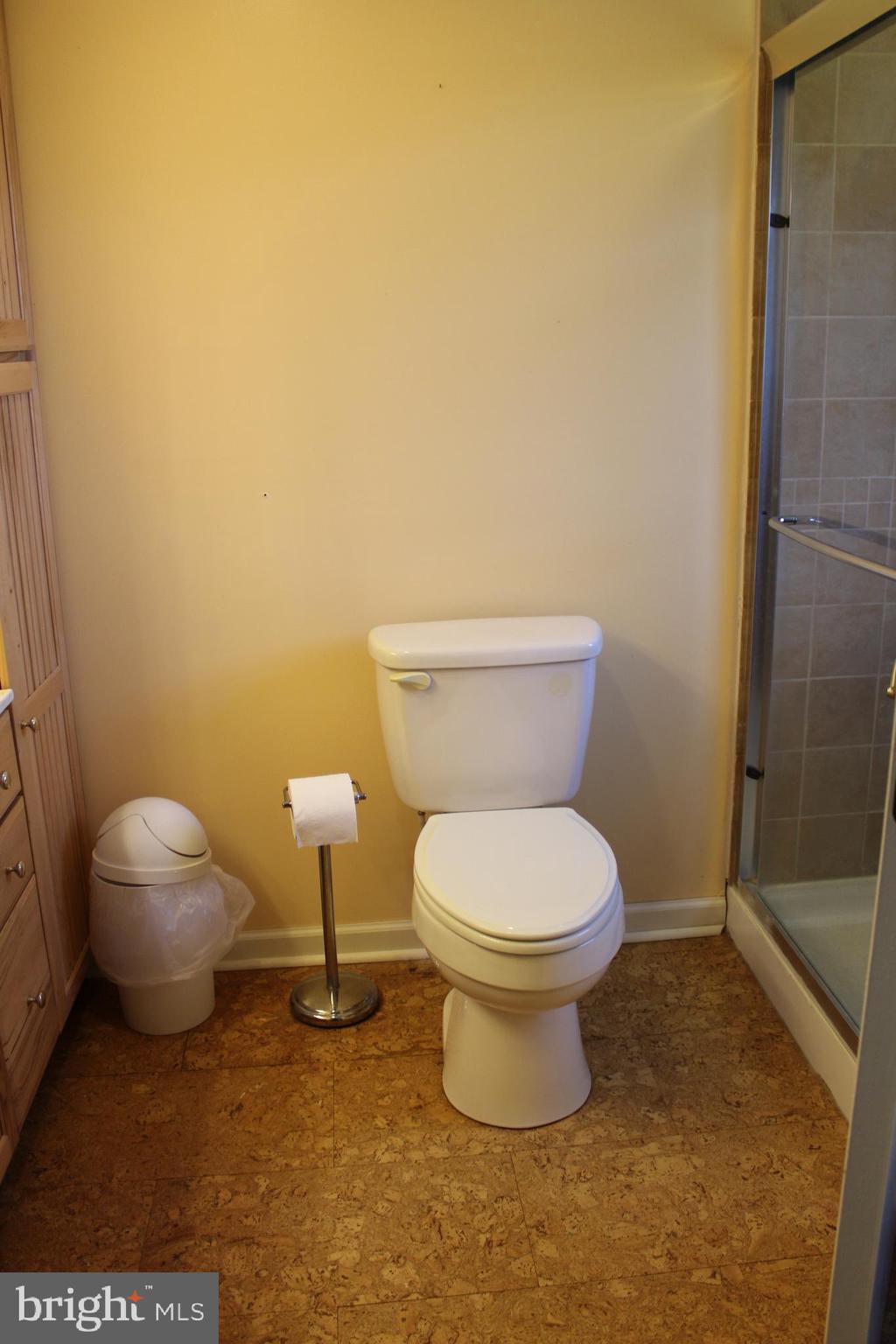 264 North Hayfield Road Winchester, VA 22603 - Photo 32 of 62 Master bath with cork flooring, warm/soft to touch