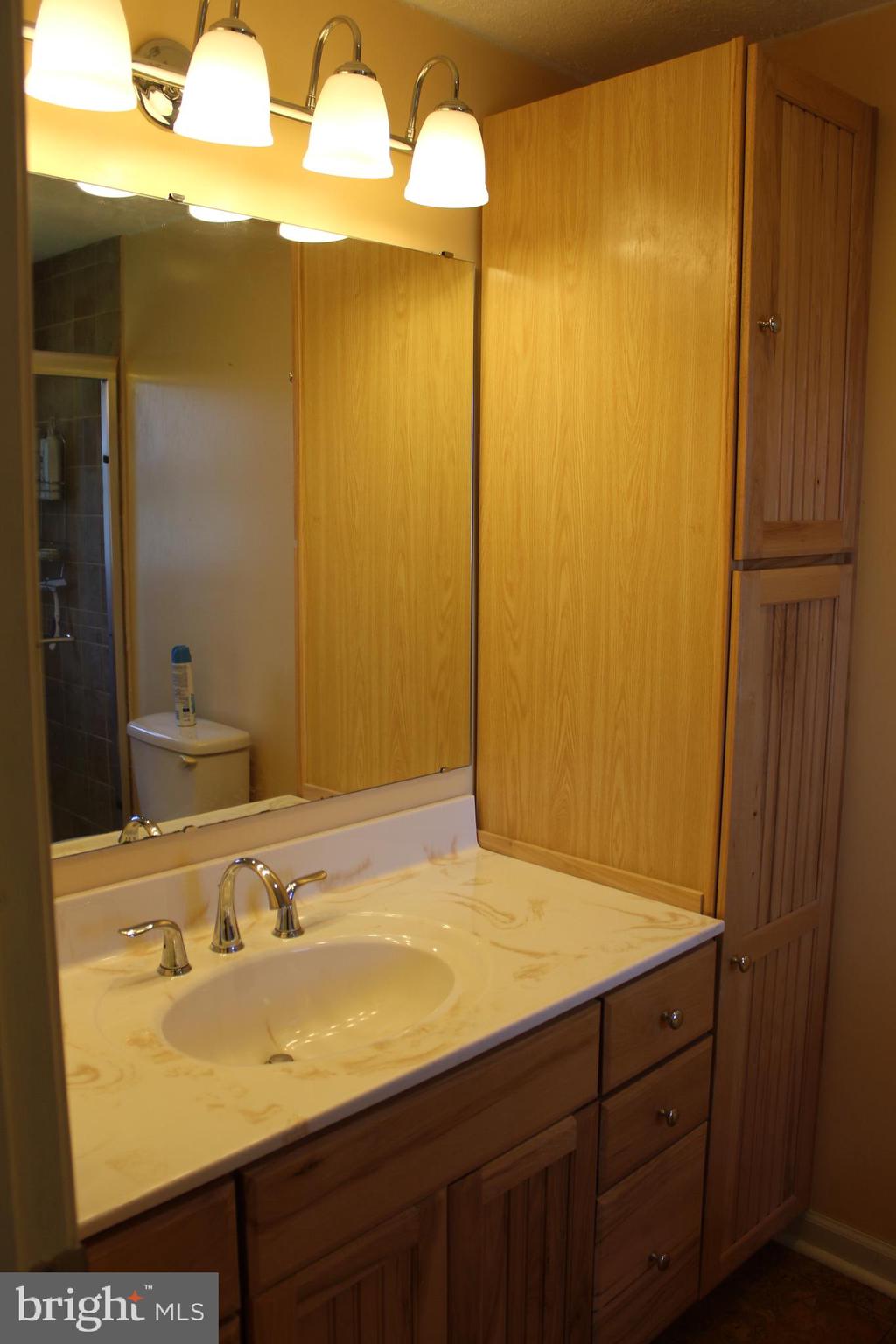 264 North Hayfield Road Winchester, VA 22603 - Photo 33 of 62 Master bath