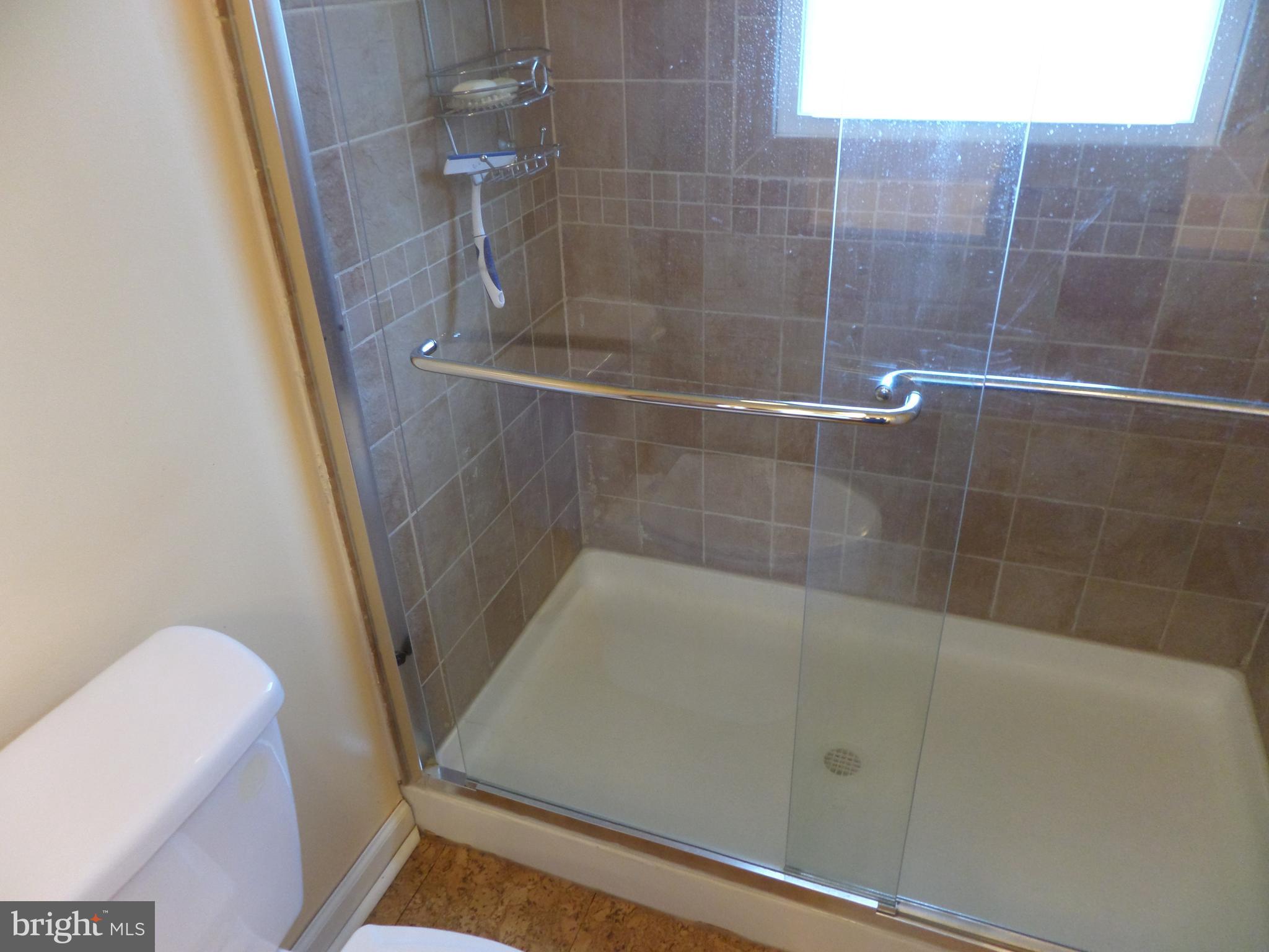 264 North Hayfield Road Winchester, VA 22603 - Photo 35 of 62 Master shower with rain shower & lights