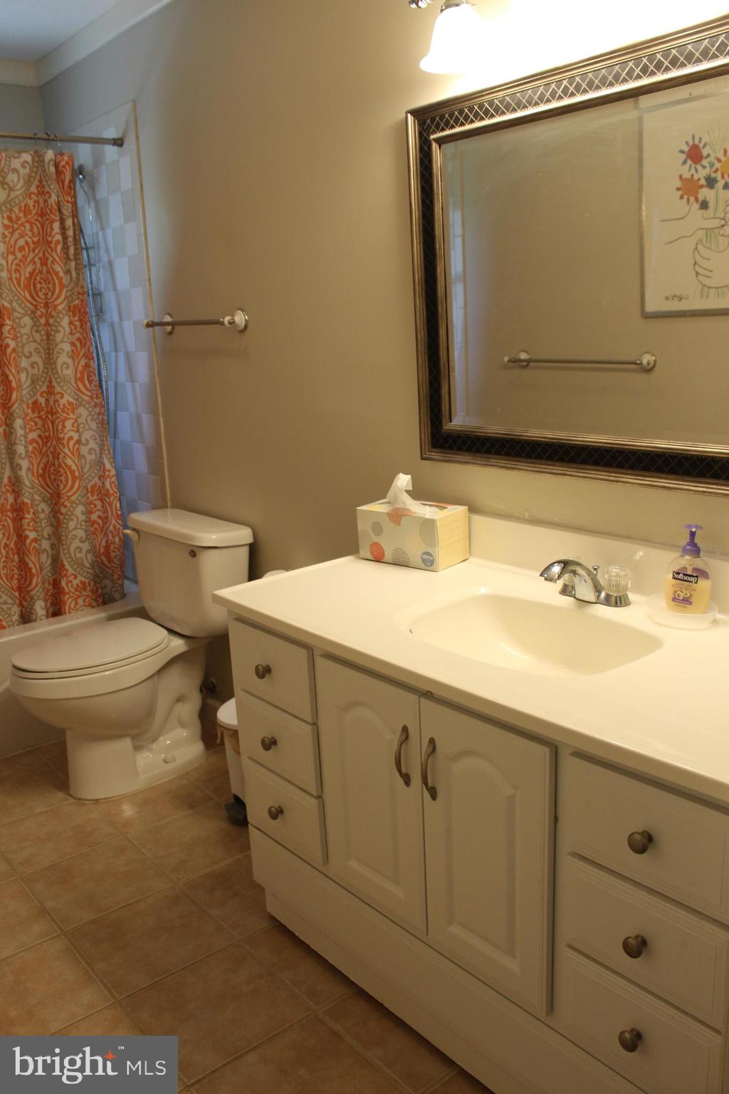 264 North Hayfield Road Winchester, VA 22603 - Photo 39 of 62 Hall bath vanity