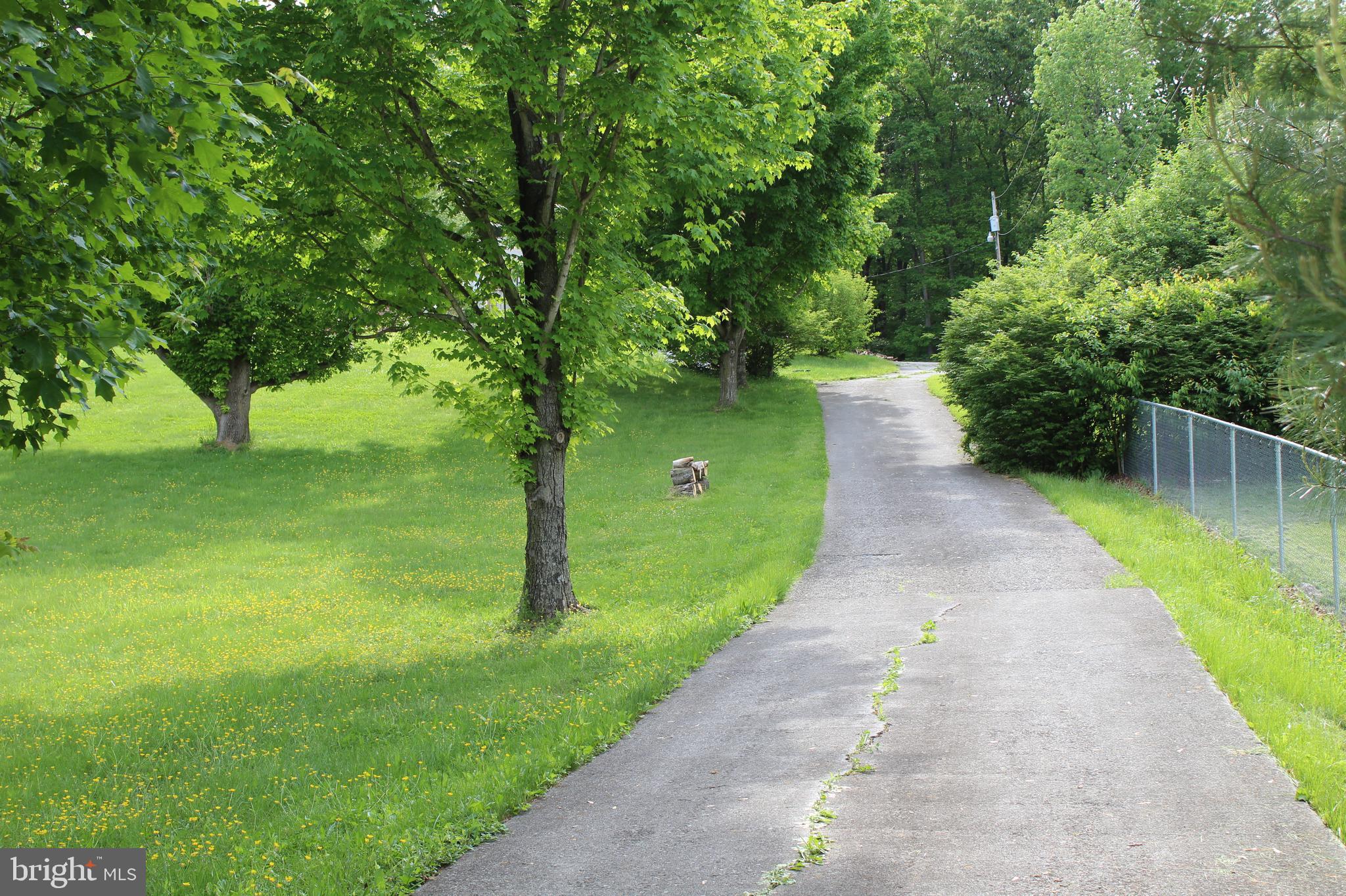 264 North Hayfield Road Winchester, VA 22603 - Photo 6 of 62 private driveway
