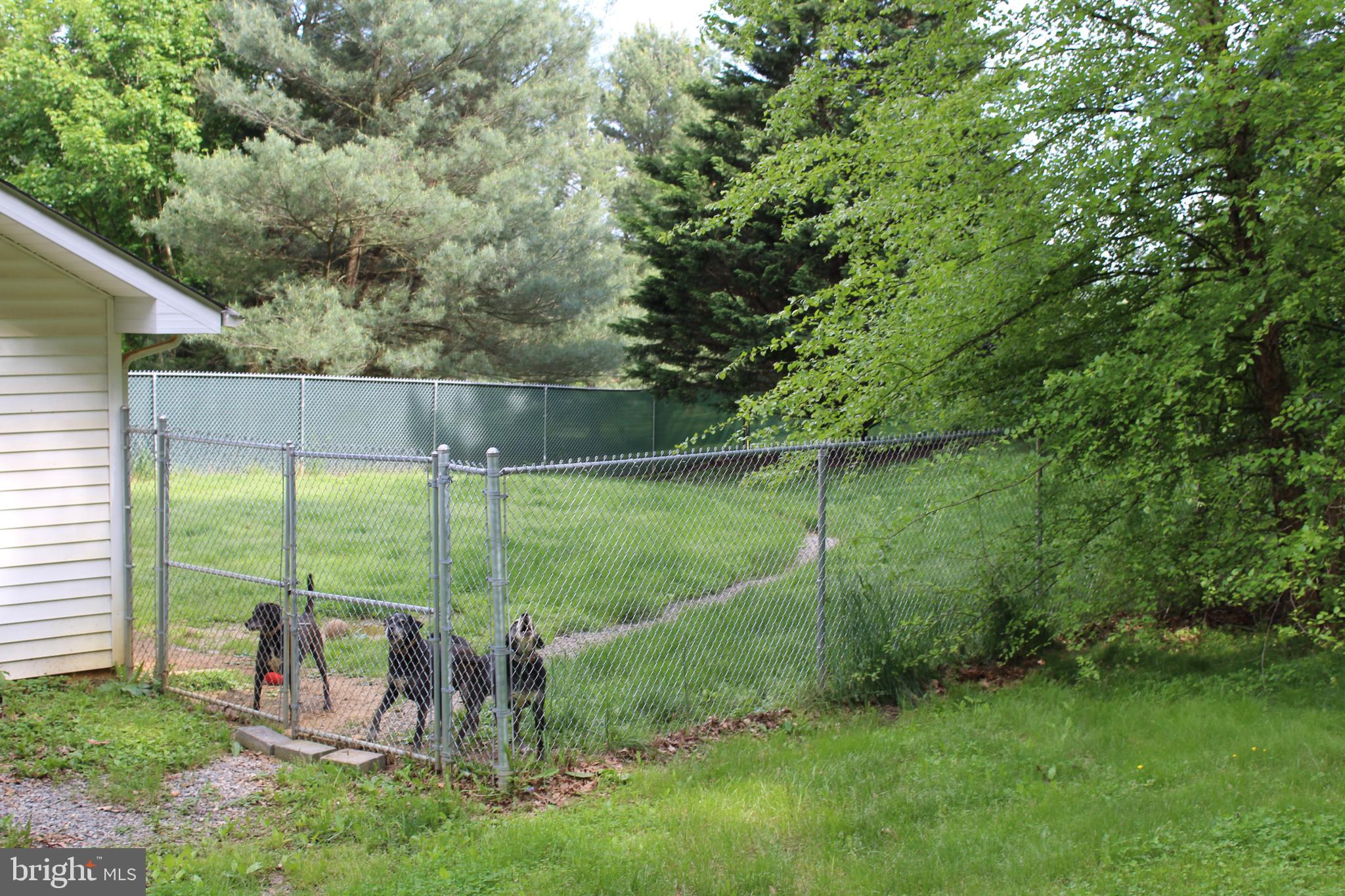 264 North Hayfield Road Winchester, VA 22603 - Photo 54 of 62 Kennel, fenced area