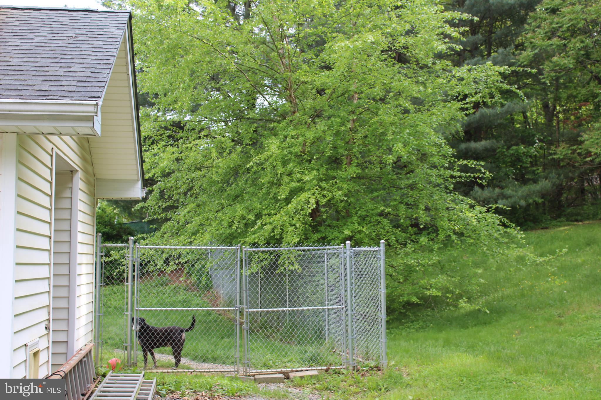 264 North Hayfield Road Winchester, VA 22603 - Photo 55 of 62 Kennel proximity to Great Hall