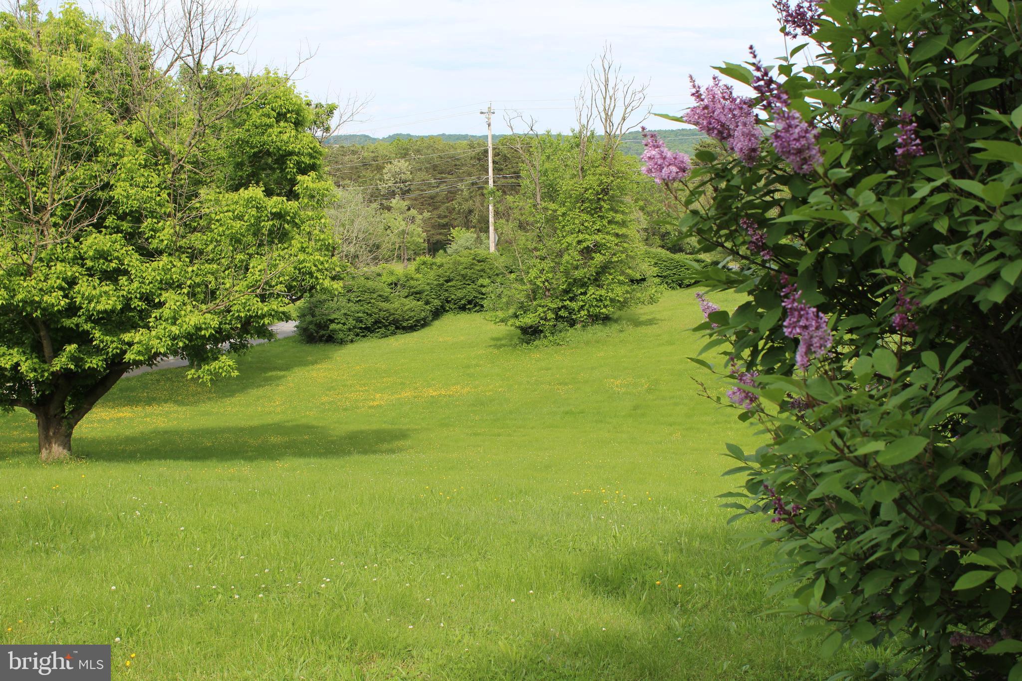 264 North Hayfield Road Winchester, VA 22603 - Photo 58 of 62 Calming front yard