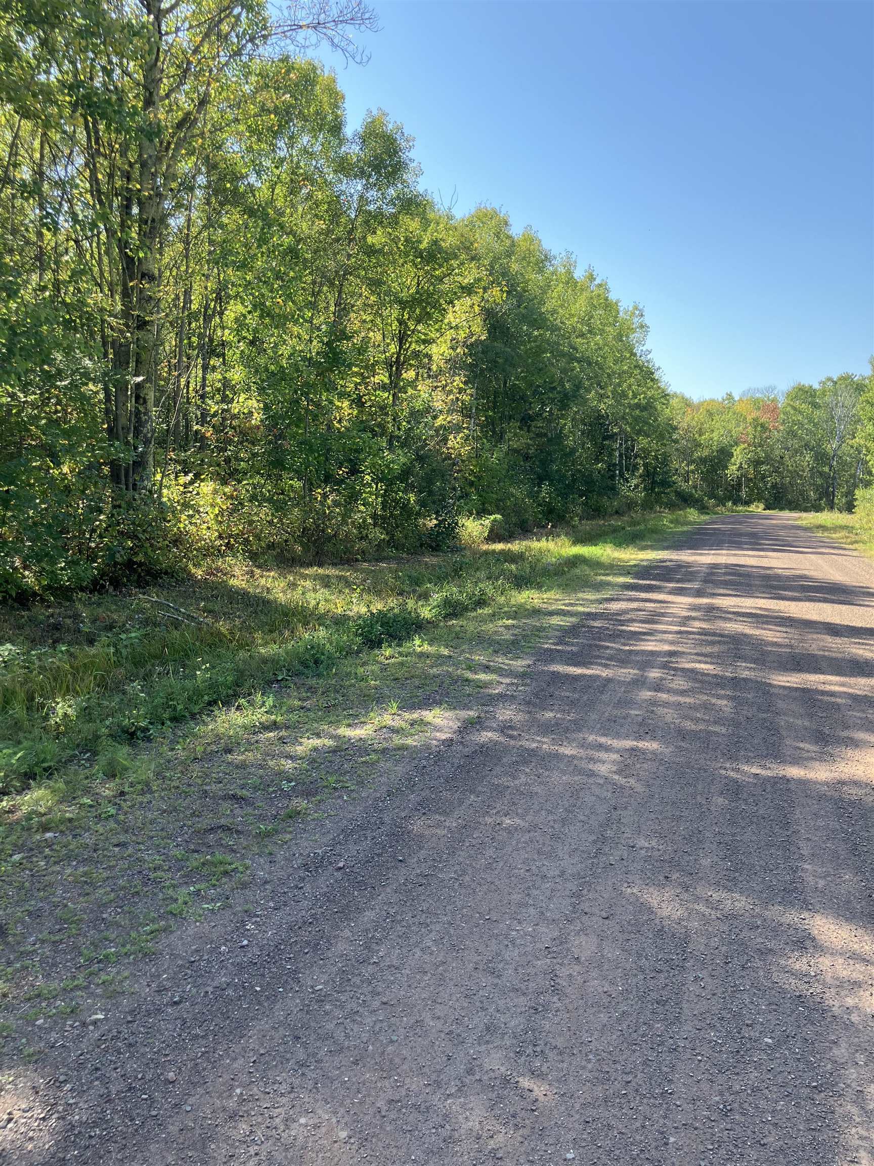 View of dirt / gravel road with a wooded view