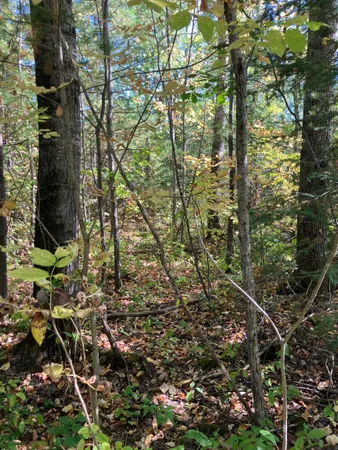 $200,000 | 2 Pine Flats Road, Ashland, WI 54806