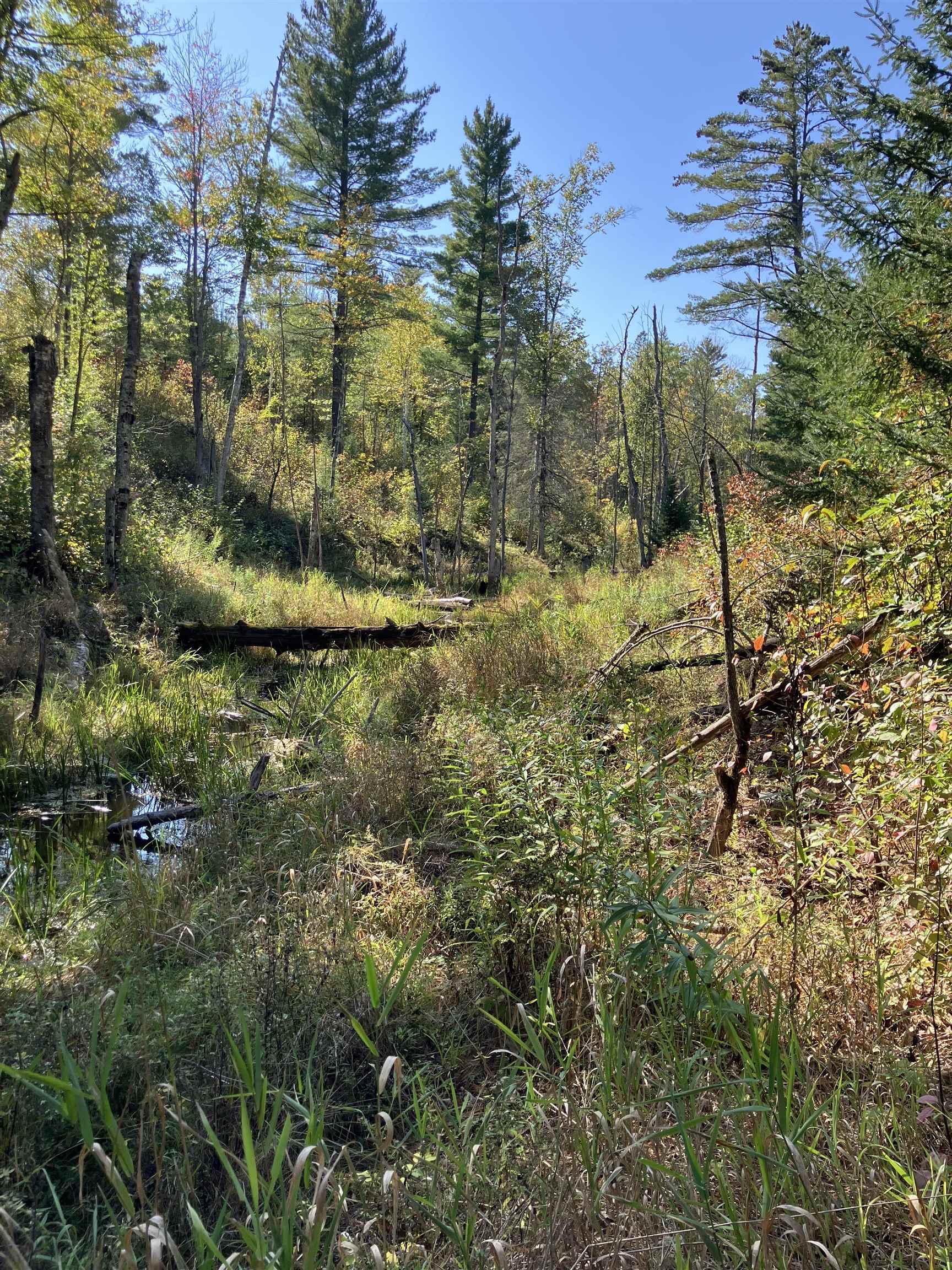 2 Pine Flats Road Ashland, WI 54806 - Photo 4 of 10 View of nature