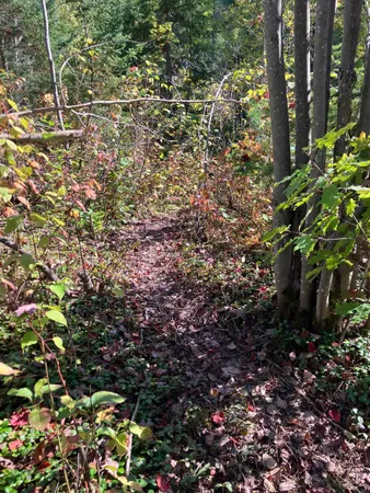 $200,000 | 2 Pine Flats Road, Ashland, WI 54806